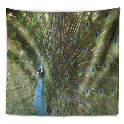Beau paon avec tapisserie de plumes Animal