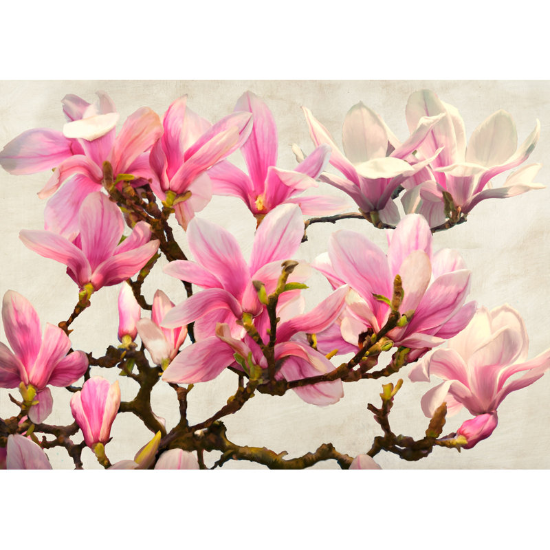 Magnolia Branch (Neutral) by Luca Villa - Wrapped Canvas Art Prints, 70cm H x 100cm W x 4cm D