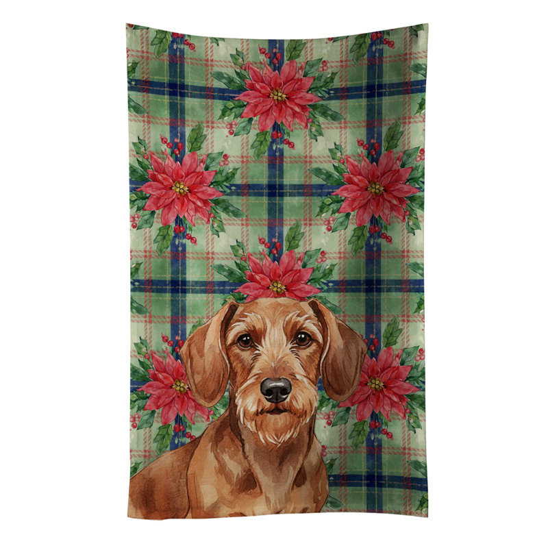 Wirehaired Red Dachshund Christmas PoinsettIas Kitchen Towel, Wirehaired Red Dachshund