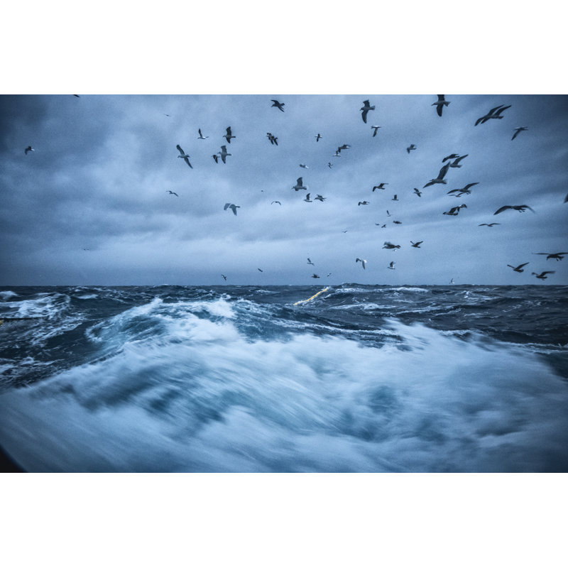 Birds And Waves by Piola666 - No Frame Art Prints on Canvas, 61cm H x 91cm W