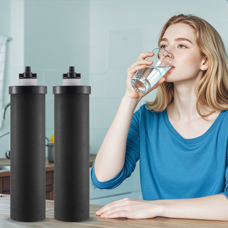 Purification, remplacement du filtre à eau pour système de filtre à gravité, paquet de 2