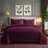 Wonderful Velvet 3-piece reversible quilt set-1715881737-1725335678