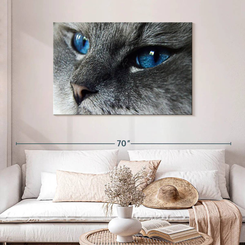 Brampt Cat Blue Eyes, 30" H x 45" W