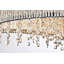 Lustre géométrique 8 lumières unique/à l’état Downes