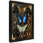Art mural papillon noir et floral noir, impression de cadre fantaisiste foncé rétro-1910107151