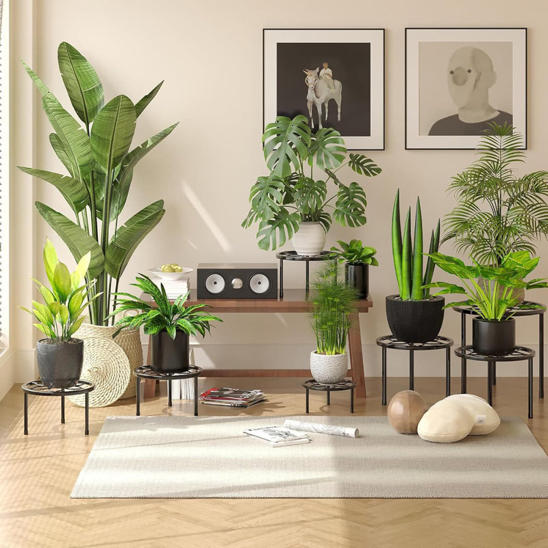 Plant Stand - Set of 5