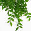 100cm Faux Plant-101685117
