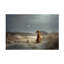 Art sur toile Heike Willers Freedom-1829781967