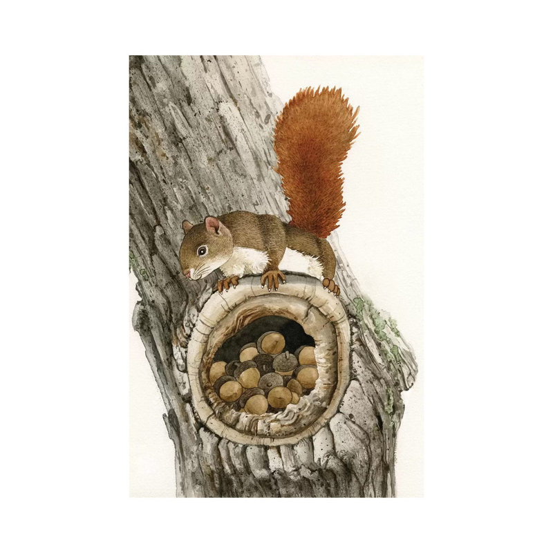 The Nut Collector 1 Piece Wrapped Canvas Painting, 101.6 cm H x 66.04 cm W x 1.91 cm D