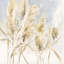 Pampas grasses par Katrina Pete - Peinture-24713350-51247666-24713402