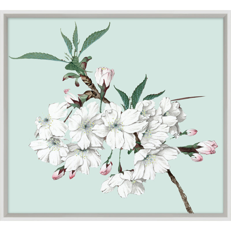 Powder Blue Blossom 10 Print