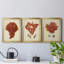 Antique Red Coral I - ensemble de 3 impressions sur toile encadrées-197865923-197865920