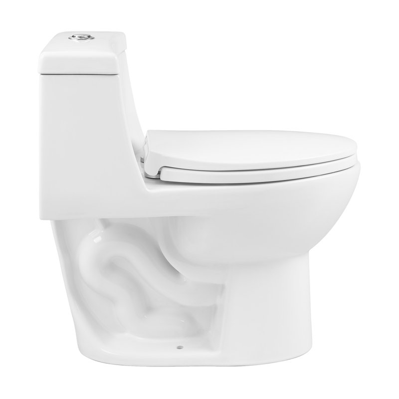 Toilette allongée une pièce à double chasse 1,1 / 1,6 gallons Avallon