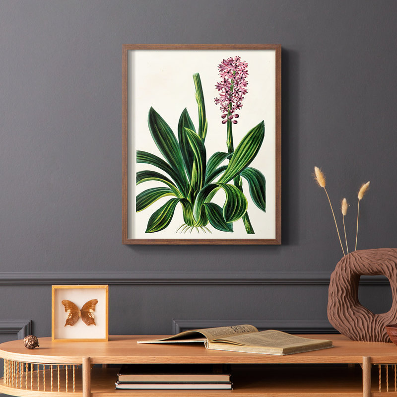 Reproduction encadrée de floral antique II - bois massif, Brun, H 28 po x l 22 po