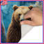 Tapis de bain Two Bears-766658335