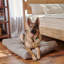 Naturepedic Organic Pet Bed with Washable Waterproof Cover-905471244