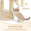 Arbre à chat avec grand perchoir et deux condos spacieux Tour pour chat avec poteaux à griffer, meubles pour chat avec panier confortable et pompon, beige