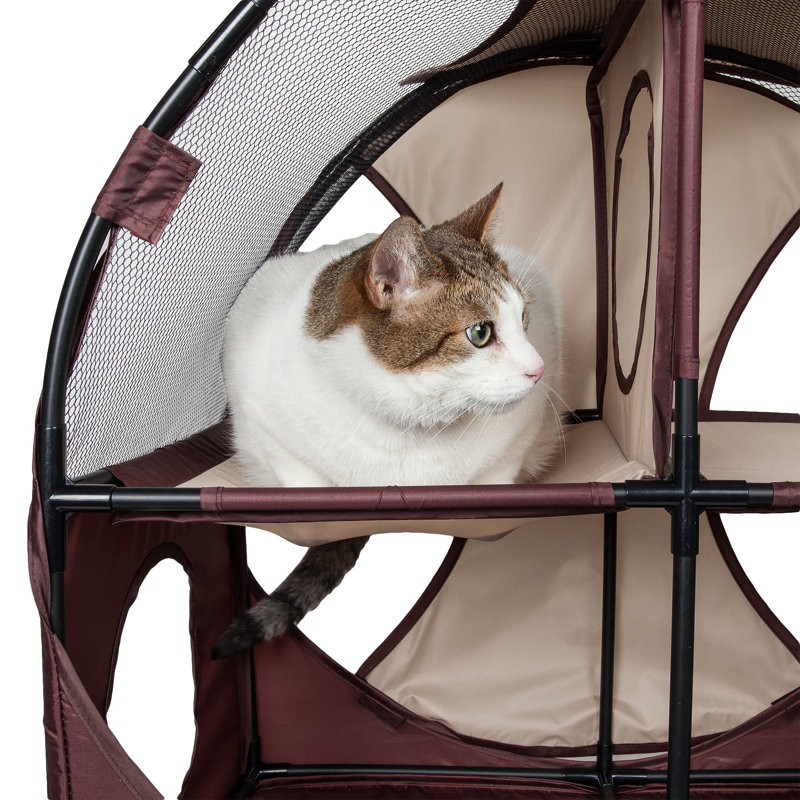 Lit pour chat Novelty, Beige