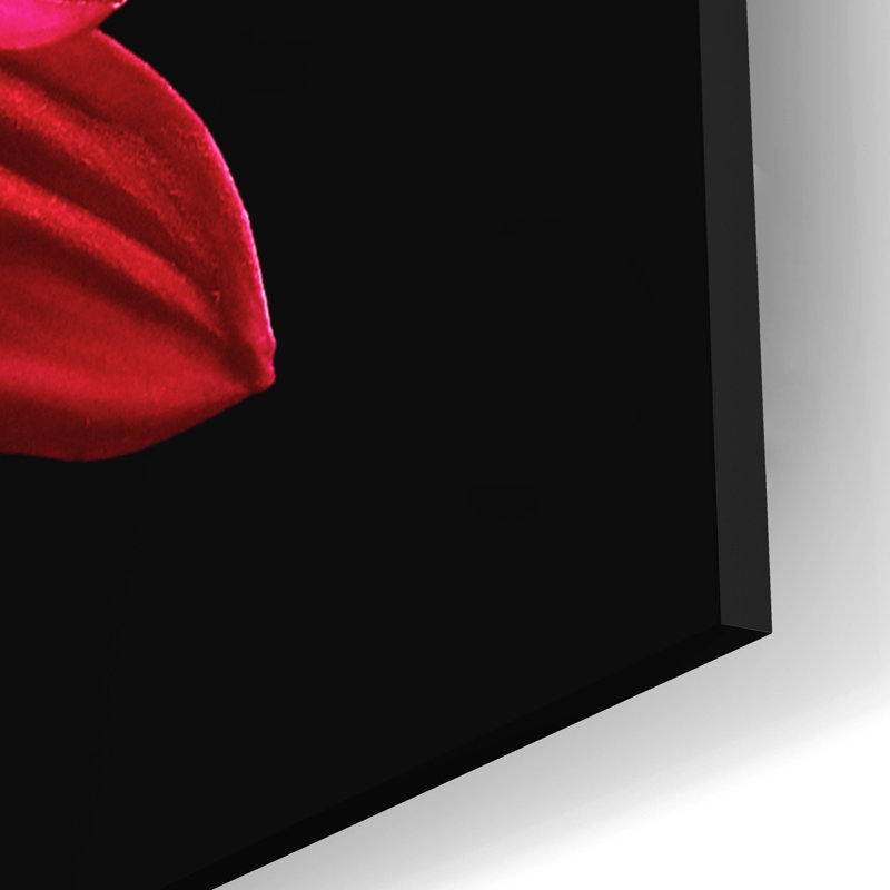 «Red Chrysanthemum On Black» par Tom Quartermaine, H 12 po x l 12 po x P 0,13 po