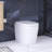 Smart Toilet-107397636