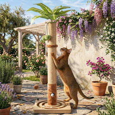 Grattoir pour chat de 35 pouces de hauteur, arbre à griffes robuste avec boule suspendue et rail pour chats