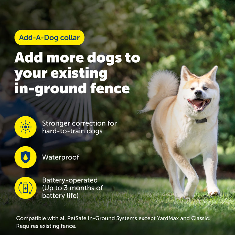 PetSafe Stubborn Dog Receiver Collar