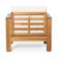 (Ensemble de 2) Fauteuils club d'extérieur en bois d'acacia avec coussins