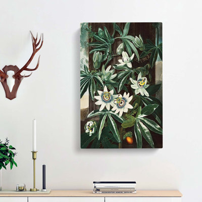 Bluecrown Passionflower by R.J. Thornton - Wrapped Canvas
