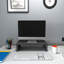Ladawn Monitor Stand-947293202