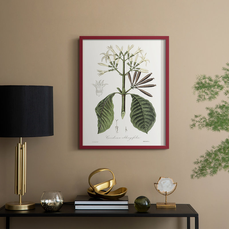Tropical Botanical IV, reproduction encadrée - bois massif, Rouge, H 21 po x l 17 po