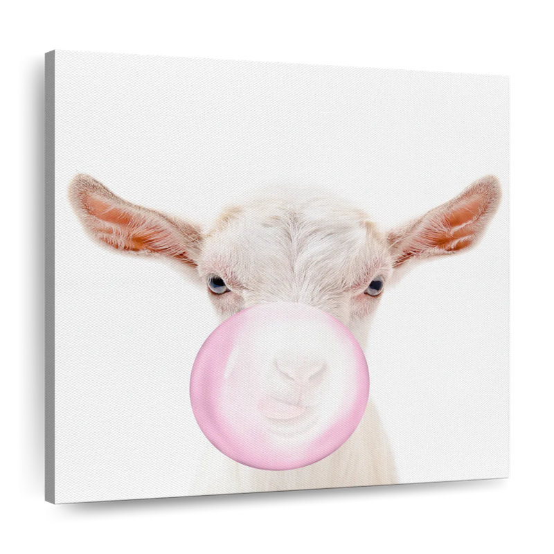 Chèvre Bubble Gum, H 10 po x l 10 po x P 1,25 po