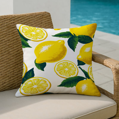 Indoor and Outdoor Throw Pillow