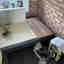 Photos des clients 1 de 2