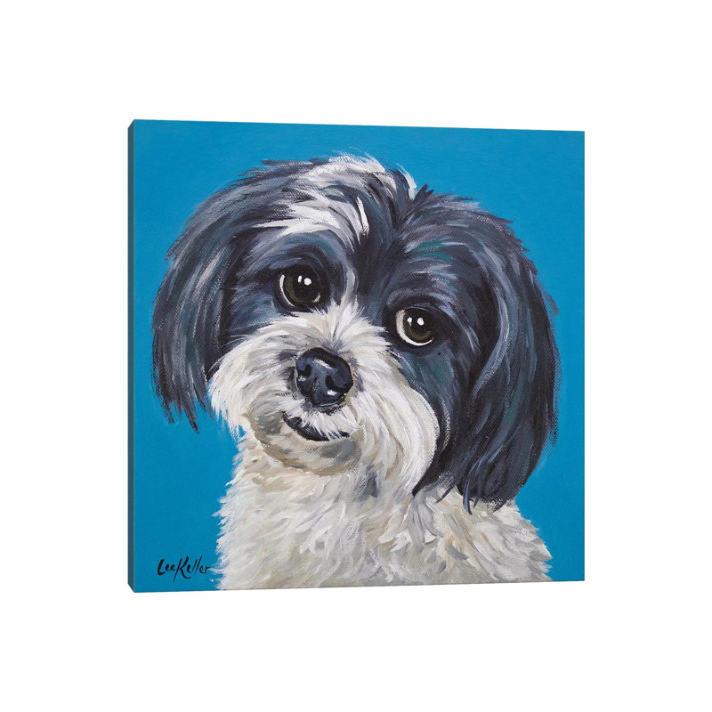 Maltese Shihtzu Mix - Wrapped Canvas Painting, 30.48 cm H x 30.48 cm W