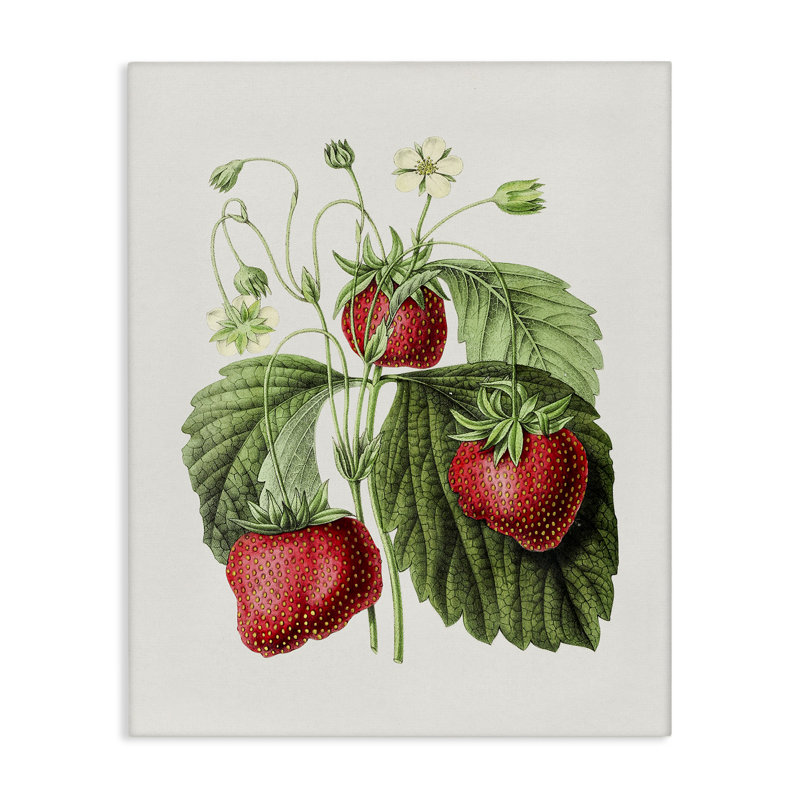 Art mural rétro sur toile par Strawberries, H 30 po x l 24 po