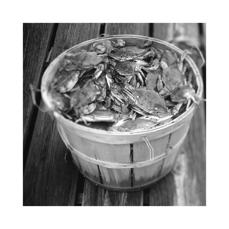 High Angle View Of Crabs In A Basket, Maryland, USA by Panoramic Images - Wrapped Canvas Print