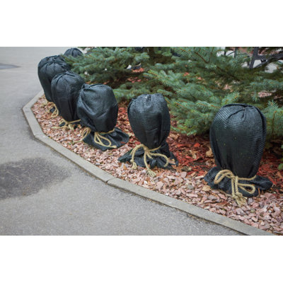 «Many Plants in the Park» - Photographie sur toile tendue