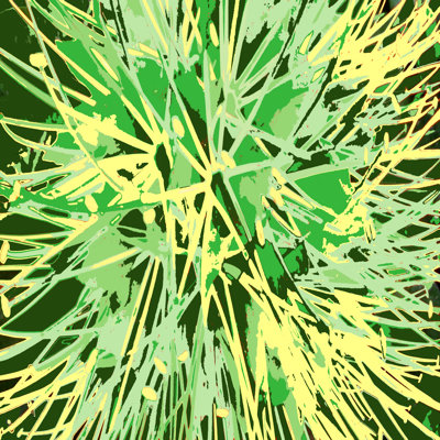 «Ferryhill Rosie Brown Nature Sparkler» par Rosie Brown, reproduction sur toile tendue