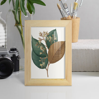 Feuillage d'automne encadré sur papier