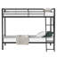 Bunk Bed with Built-in Ladder Included-160393183