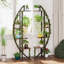 Support pour plante Rexlake-86865680