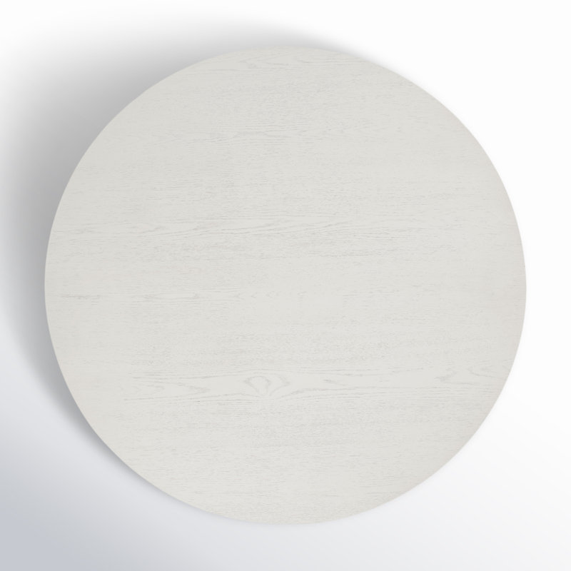 Talitha 47.75'' Round Dining Table, White Wash
