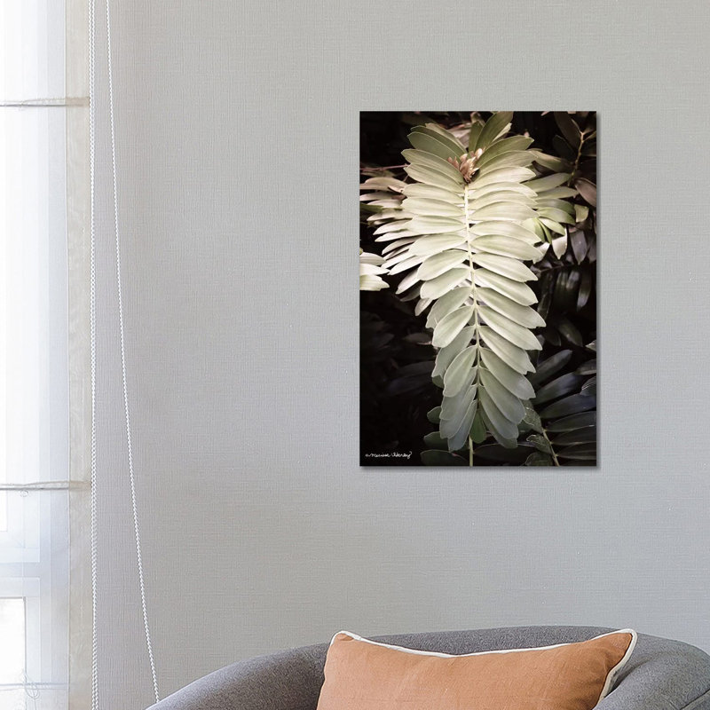 Sunkissed Fern 1 Piece Wrapped Canvas Wall Art, 66.04 cm H x 45.72 cm W x 1.91 cm D