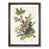 Walnut Framed selected