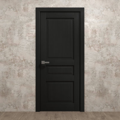 Porte intérieure française pleine 28 x 80 pouces Ego 5012 Chêne peint noir Panneau simple Cadre Poignée Salle de bain Chambre Portes modernes