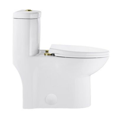 Sublime One Piece Elongated Toilet Dual Flush