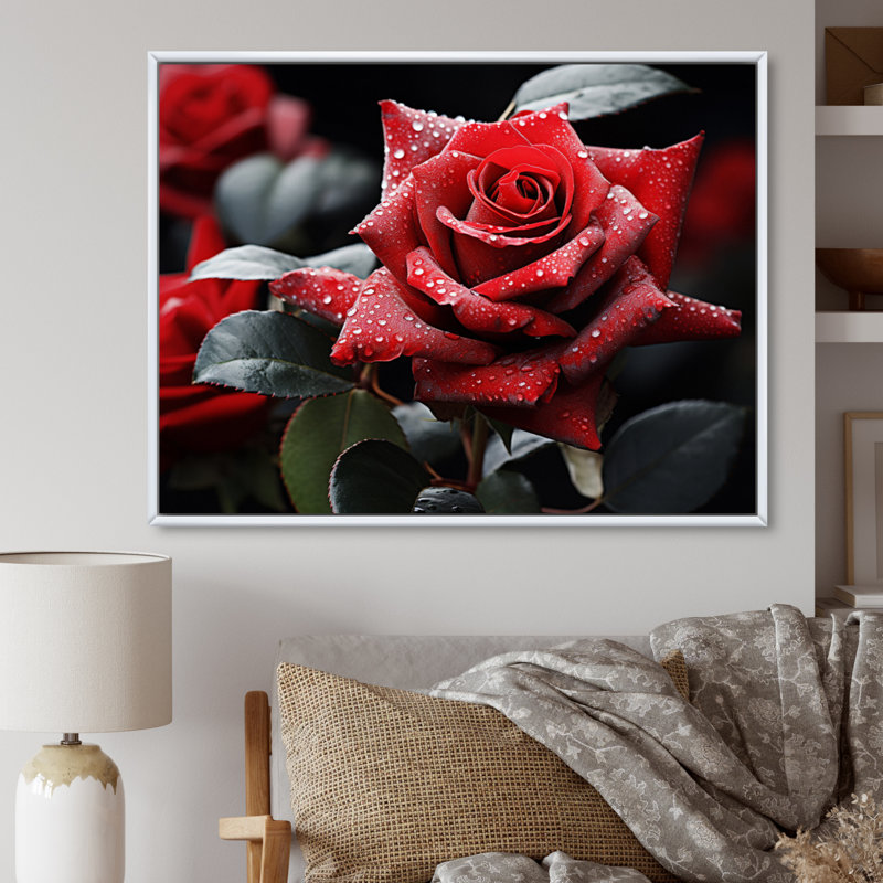 " Water Drops On Red Rose Majesty I ", 34" H x 44" W, Cadre flottant blanc