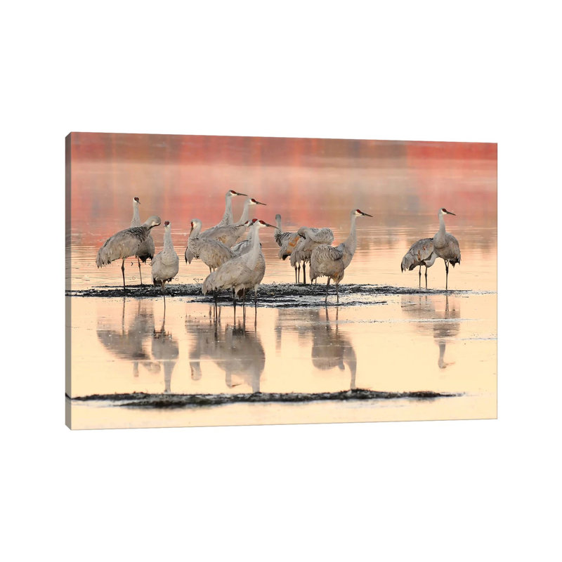 Morning Reflections by Brian Wolf - Wrapped Canvas Print, 20.32cm H x 30.48cm W x 1.91cm D