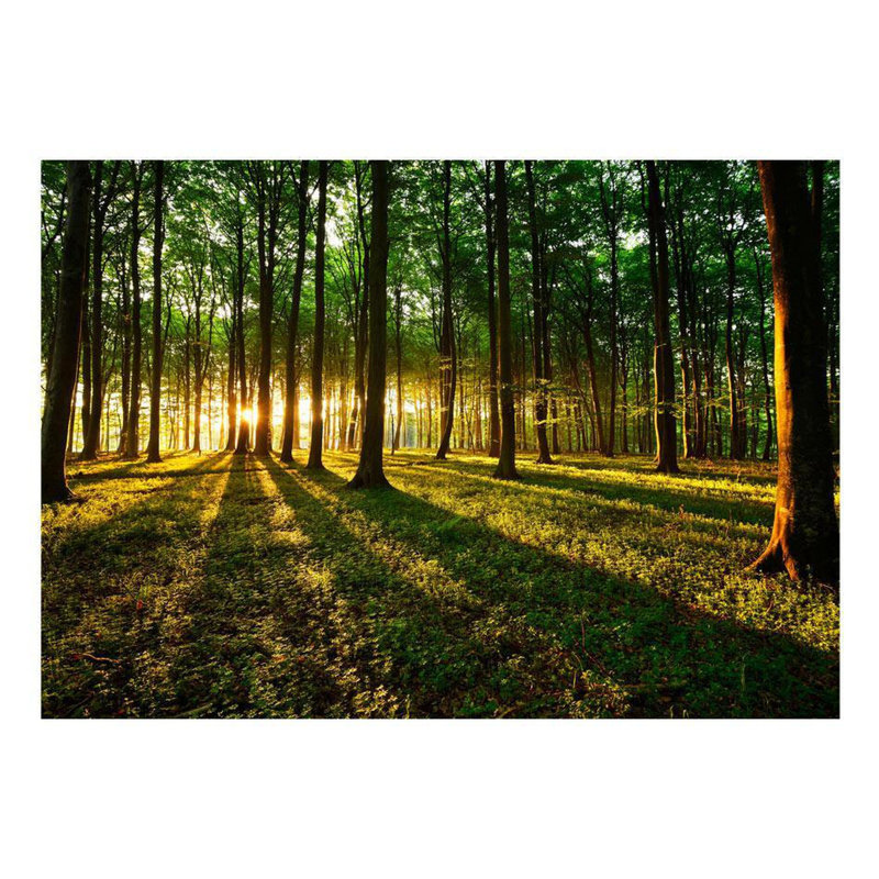 Adhésif mural Finnlay Mystical Morning, L 110 po x l 154 po