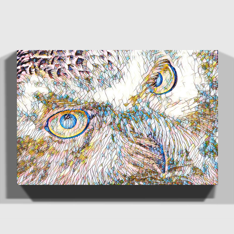 Snowy Owl Eyes - Wrapped Canvas, 35cm H x 50cm W